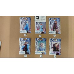 APLICACIONES TERMOADHESIVAS FROZEN
