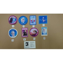 APLICACION TERMOADHESIVA FROZEN