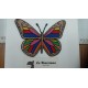 MARIPOSA 1