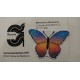 APLICACION MARIPOSA TERMOADHESIVA