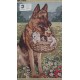 CAÑAMAZO  MEDIO PUNTO 45*60 CM PERRO Y GATOS