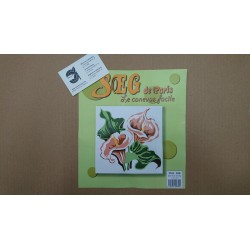 KIT FLORES DE MEDIO PUNTO 20*20 CM CONTIENE AGUJA E HILOS