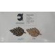 APLICACION CRISTAL HOJA TERMOADHESIVA 4*6 CM