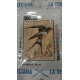 KIT PAJAROS DE MEDIO PUNTO  20*25 CM CONTIENE AGUJA E HILOS