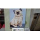KIT GATOS DE MEDIO PUNTO 20*25 CM CONTIENE AGUJA E HILOS