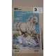 CAÑAMAZO  MEDIO PUNTO 30*40 CM CABALLO
