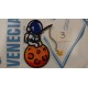 APLICACION ASTRONAUTA 7*7 CM TERMOADHESIVA