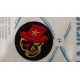 APLICACION CALAVERAS 8*8 CM TERMOADHESIVAS