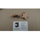 PINZA NIQUEL CON ESTRELLA MADERA APROX. 5*3 CM