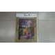 CAÑAMAZO 30*40 CM  ROSAS