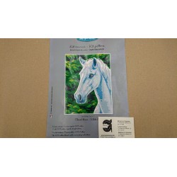 KIT CAÑAMAZO 25*25  CABALLO CONTIENE AGUJA E HILOS