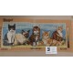 CAÑAMAZO GATOS 25*60 CM