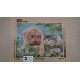 CAÑAMAZO  MEDIO PUNTO 40*50 CM PERRO Y GATO