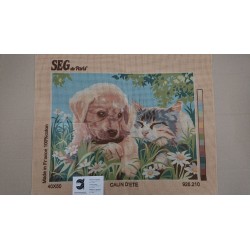 CAÑAMAZO  MEDIO PUNTO 40*50 CM PERRO Y GATO