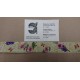 CINTA RASO ESTAMPADA 25 MM