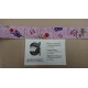CINTA RASO ESTAMPADA 25 MM
