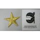 APLICACION ESTRELLA 45 MM TERMOADHESIVA