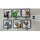 APLICACION ANIMALES 5*6 CM TERMOADHESIVA