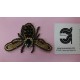 APLICACION ABEJA CRISTAL TERMOADHESIVA  80*50 MM