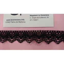 PUNTILLA ALGOODN  PUNTAS 2 CM